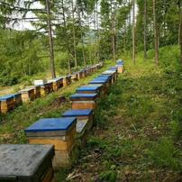 蜂蜜配送交流群